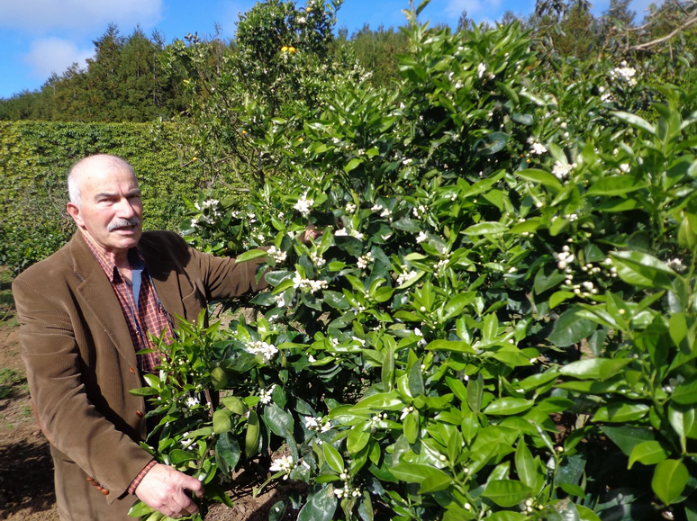 dove nasce acqua di colonia portogallo