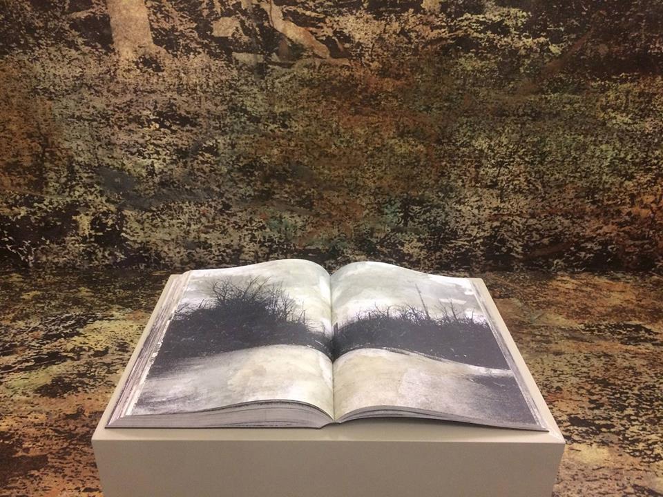 lisbona eventi gallerie arte