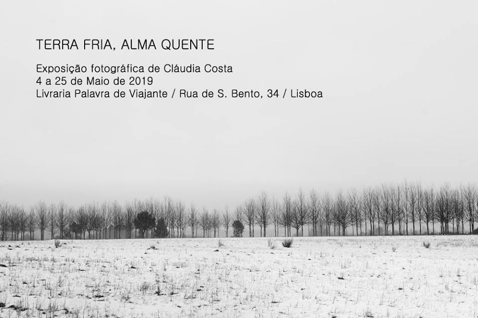 gallerie arte lisbona librerie