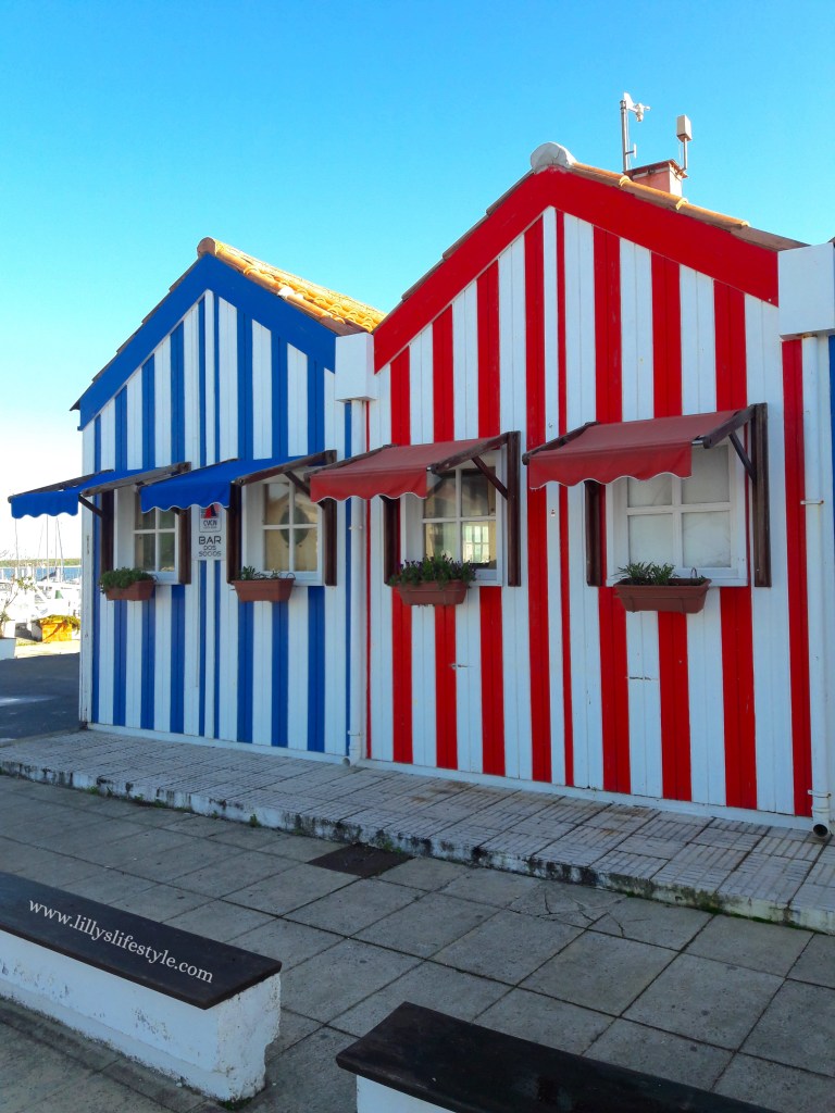 cosa visitare aveiro