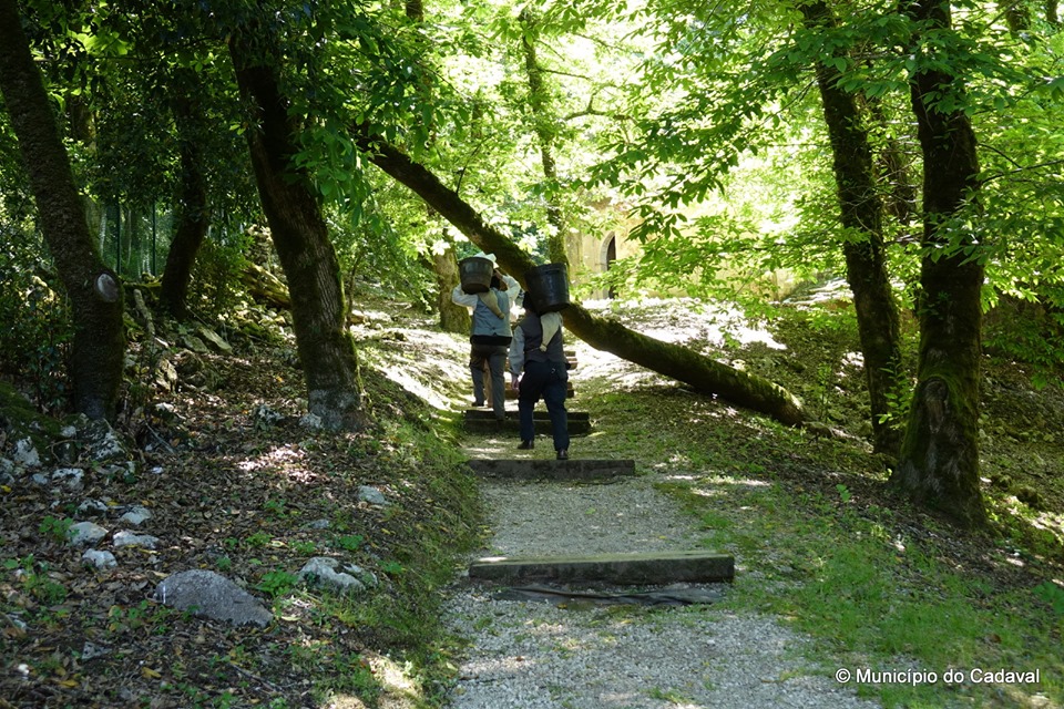 trasporto ghiaccio verso il silos
