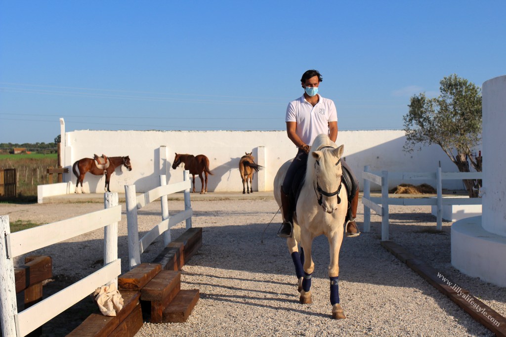 maneggio cavalli vicino lisbona portogallo