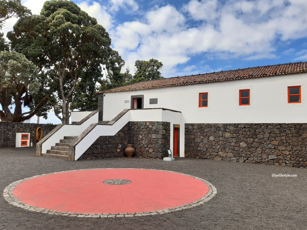 museo del vino pico azzorre